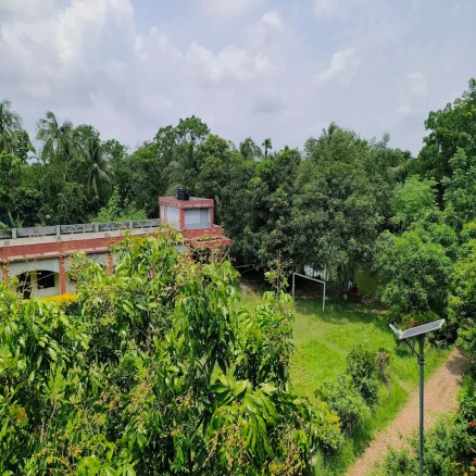 Why Do Car Batteries Die in Cold Weather